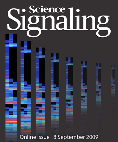 Science Signaling cover, 2009, vol. 2 (no. 87) // Image by Adam Byron // Reproduced with permission from AAAS