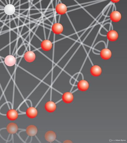 Adhesion complex network // Image by Adam Byron