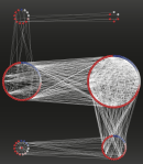 Adhesion complex network