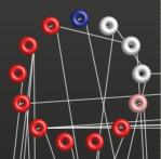 Adhesion complex network