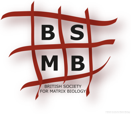 BSMB logo // Image by Adam Byron // Reproduced with permission from BSMB