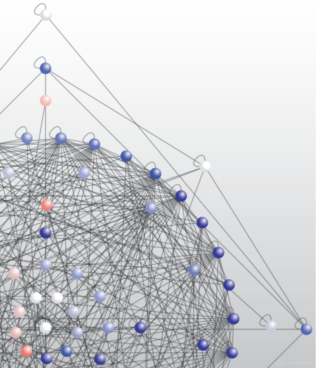 Adhesion complex interaction network // Image by Adam Byron
