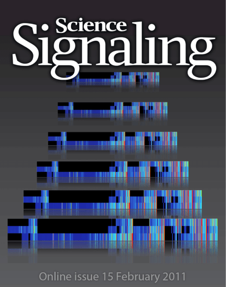 Science Signaling cover, 2011, vol. 4 (no. 160) // Image by Adam Byron // Reproduced with permission from AAAS