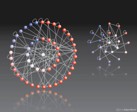 Adhesion complex interaction networks // Image by Adam Byron