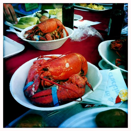 Maine Lobster // Image by Adam Byron