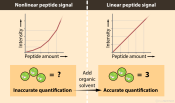 Improving peptide linearity // Image by Adam Byron