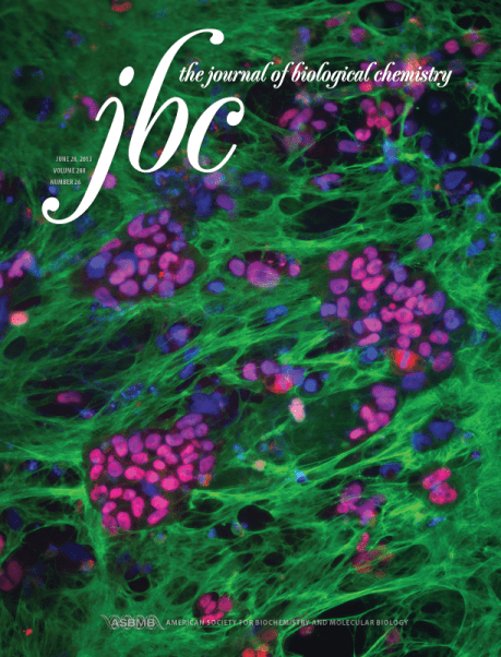 Journal of Biological Chemistry cover, 2013, vol. 288 (no. 26) // Image by Despina Soteriou