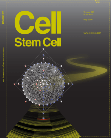 Cell Stem Cell cover bid // Image by Adam Byron