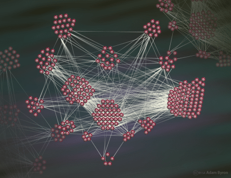 A network of extracellular proteins in kidney glomeruli // Image by Adam Byron